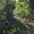  Land for sale in Villa De Alvarez, Colima, Villa De Alvarez, Colima