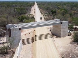  Land for sale in Tixkokob, Yucatan, Tixkokob
