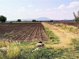  토지을(를) Amealco De Bonfin, Queretaro에서 판매합니다., Amealco De Bonfin