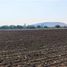  토지을(를) Amealco De Bonfin, Queretaro에서 판매합니다., Amealco De Bonfin