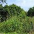  Land for sale in Duran, Guayas, Eloy Alfaro Duran, Duran