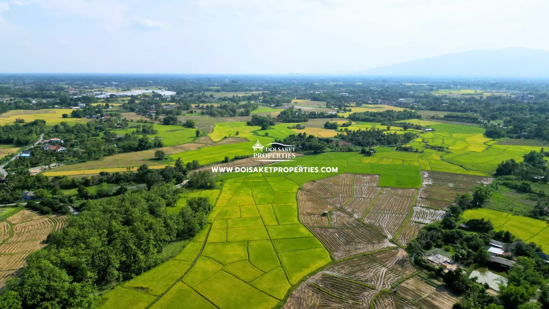 Land for sale In Nong Yaeng Chiang Mai