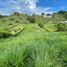  Terreno (Parcela) en venta en Cartago, Valle Del Cauca, Cartago