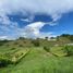  Terreno (Parcela) en venta en Cartago, Valle Del Cauca, Cartago