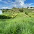  Terreno (Parcela) en venta en Cartago, Valle Del Cauca, Cartago