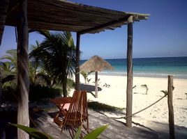  Grundstück zu verkaufen in Cozumel, Quintana Roo, Cozumel