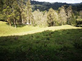  Grundstück zu verkaufen in Retiro, Antioquia, Retiro