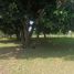  Land for sale in Centro, Tabasco, Centro, Tabasco