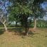  Land for sale in Centro, Tabasco, Centro, Tabasco