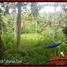  Land for sale in Selemadeg, Tabanan, Selemadeg