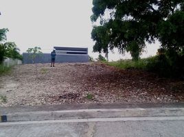  Land for sale in Talisay City, Cebu, Talisay City