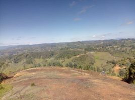  Land for sale in San Vicente, Antioquia, San Vicente