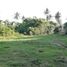  Land for sale in Kerambitan, Tabanan, Kerambitan