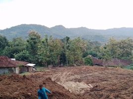  Tanah for sale in Yogyakarta, Pengasih, Kulon Progo, Yogyakarta