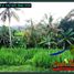  Land for sale in Selemadeg, Tabanan, Selemadeg