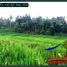  Land for sale in Selemadeg, Tabanan, Selemadeg