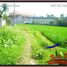  Land for sale in Ubud, Gianyar, Ubud