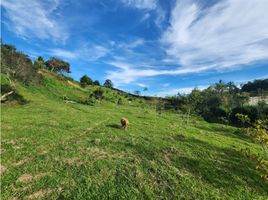  Grundstück zu verkaufen in San Carlos, Antioquia, San Carlos