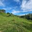  Terrain for sale in San Carlos, Antioquia, San Carlos