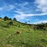  Terrain for sale in San Carlos, Antioquia, San Carlos