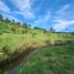  Terrain for sale in San Carlos, Antioquia, San Carlos