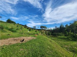  Terrain for sale in San Carlos, Antioquia, San Carlos