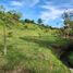  Terrain for sale in San Carlos, Antioquia, San Carlos