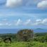  Land for sale in Negros Oriental Negros Island Region, Dauin, Negros Oriental, Negros Island Region