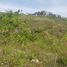  Land for sale in Consolacion, Cebu, Consolacion