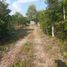  Land for sale in Dauis, Central Visayas, Dauis
