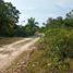  Land for sale in Dauis, Bohol, Dauis