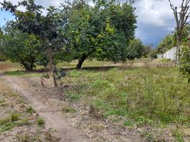  Land for sale in Guayllabamba, Quito, Guayllabamba