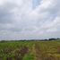  Land for sale in Wringin Anom, East Jawa, Wringin Anom