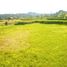  Terrain for sale in Tegallalang, Gianyar, Tegallalang