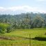  Terrain for sale in Tegallalang, Gianyar, Tegallalang