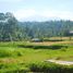  Terrain for sale in Tegallalang, Gianyar, Tegallalang