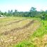  Terrain for sale in Tegallalang, Gianyar, Tegallalang