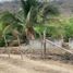  Haus zu verkaufen in Rocafuerte, Manabi, Rocafuerte, Rocafuerte
