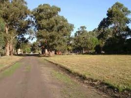  Land for sale in General Alvarado, Buenos Aires, General Alvarado