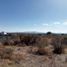 Land for sale in Romita, Guanajuato, Romita