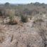  Land for sale in Romita, Guanajuato, Romita