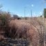  Land for sale in Romita, Guanajuato, Romita
