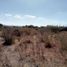  Land for sale in Romita, Guanajuato, Romita