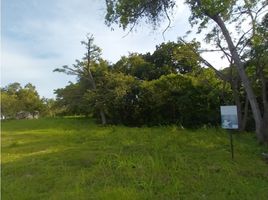  Terreno (Parcela) en venta en Panamá, Nueva Gorgona, Chame, Panamá Oeste, Panamá