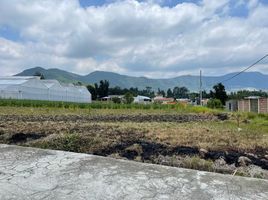  Land for sale in Tenango Del Valle, Mexico, Tenango Del Valle