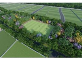  Land for sale in Ucu, Yucatan, Ucu