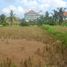  Land for sale in Ubud, Gianyar, Ubud