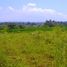  Land for sale in Selemadeg, Tabanan, Selemadeg