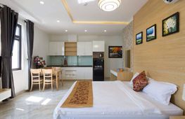 Cho thuê căn hộ, 1 PN, 45 m², Sơn Trà