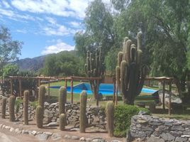  Land for sale in Cafayate Salta, Cafayate